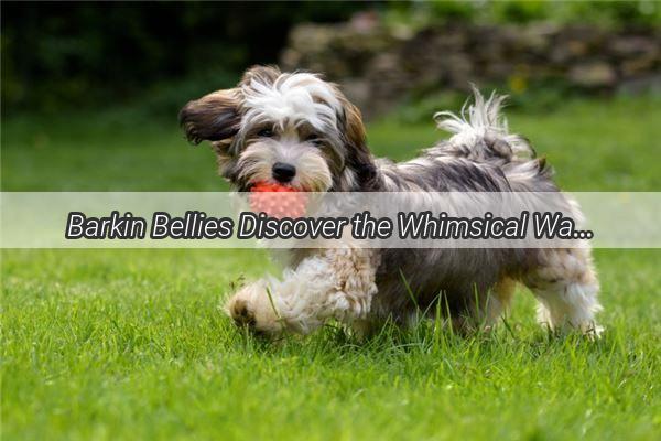 Barkin Bellies Discover the Whimsical Ways Your Pup Communicates Hunger